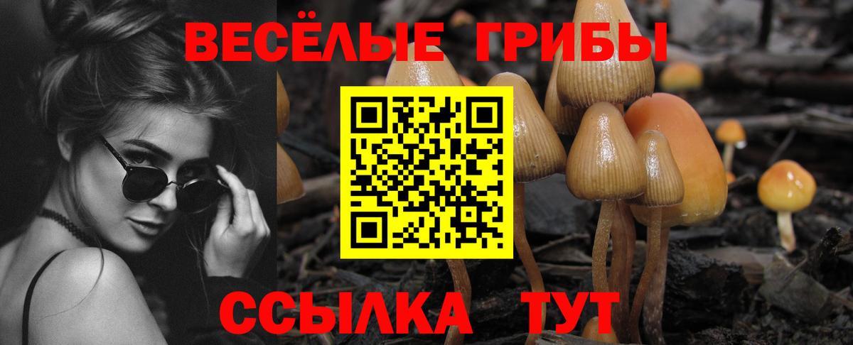Галлюциногенные грибы прущие грибы  Вход с VPN  закладки  Мирный  Псилоцибиновые грибы Magic Shrooms 