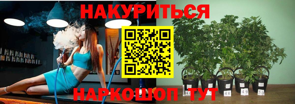Мирный  Канабис тримм  Вход с VPN  Бошки марихуана White Widow  МАРИХУАНА Bruce Banner  Бошки Шишки тримм 
